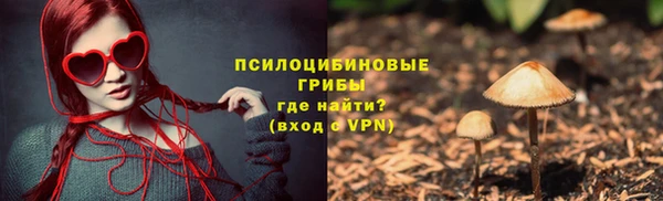 ПСИЛОЦИБИНОВЫЕ ГРИБЫ Карталы