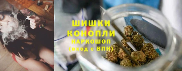 ПСИЛОЦИБИНОВЫЕ ГРИБЫ Карталы