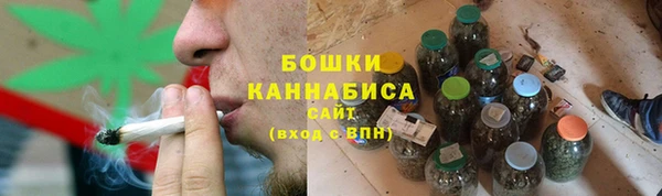 ПСИЛОЦИБИНОВЫЕ ГРИБЫ Карталы