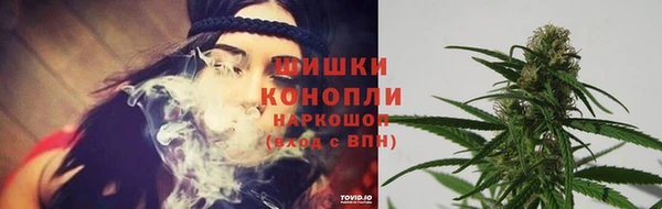 ПСИЛОЦИБИНОВЫЕ ГРИБЫ Карталы
