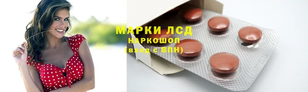 ПСИЛОЦИБИНОВЫЕ ГРИБЫ Карталы