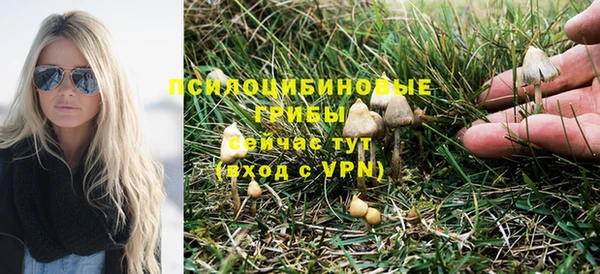 ПСИЛОЦИБИНОВЫЕ ГРИБЫ Карталы